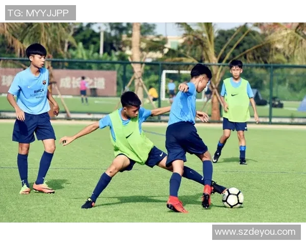 深入分析西安足球队的进攻战术与风格特点探讨