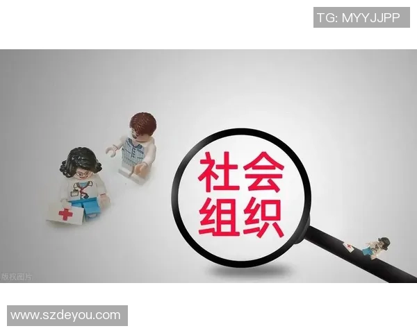 西安篮球队技术深度解析：从战术布局到球员素养的全面探讨