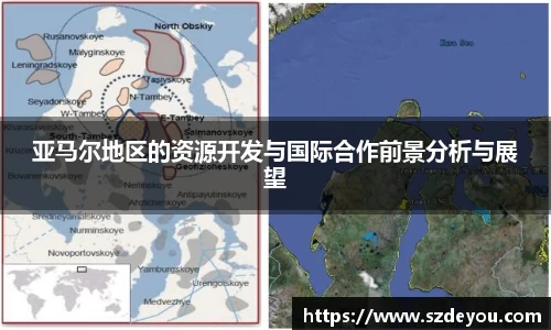 亚马尔地区的资源开发与国际合作前景分析与展望